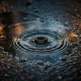 Close Up Rain Drips into a Puddle sound effect artwork