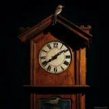 Cuckoo Clock Ticking and Calling sound effect artwork