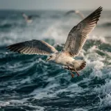 Waves and Seagulls at the Beach sound effect artwork