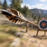 Arrow Flyby Feathered Whistle