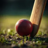 Cricket Ball Striking a Wooden Bat sound effect artwork