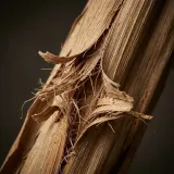 Dry Palm Frond Ripping and Peeling sound effect artwork