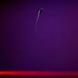 Upward Slide Whistle Sweep sound effect artwork