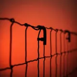 Electric Fence Steady Ticking sound effect artwork