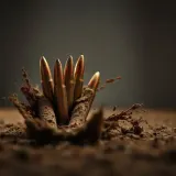 Sharp Bullet Ricochets and Dirt Impacts sound effect artwork