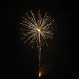 Firework Whistle and Burst sound effect artwork