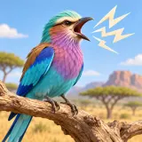 Stylized thumbnail for Harsh Rattling Bird Call