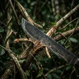 Hacking Through Vines and Branches sound effect artwork