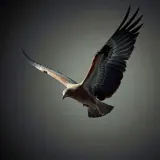 Heavy Bird Wings Flapping Rapidly sound effect artwork