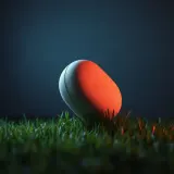 Soft Landing on Grass sound effect artwork