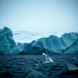 Glacier Calving Into Sea sound effect artwork