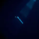 Rising Falling Human Whistle sound effect artwork