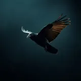 Rapid Raven Wings Flapping Past sound effect artwork