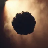 Distant Hollow Echoing Thud sound effect artwork