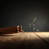 Wooden Plank Breaking Snap sound effect artwork