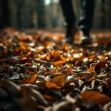 Walking Through Dry Leaves sound effect artwork
