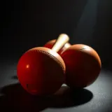 Rhythmic Maraca Shaking Pattern sound effect artwork