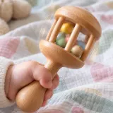 Baby Rattle Shaking Jingle