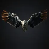 Heavy Giant Wings Flapping sound effect artwork