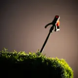 Hedge Trimmer Cutting Bush sound effect artwork