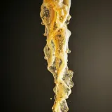 Champagne Foam Overflow Fizz sound effect artwork