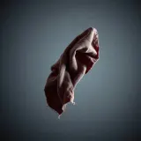 Long Raspy Cloth Tearing sound effect artwork