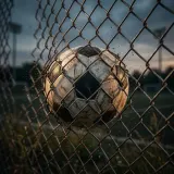 Football Hits Metal Fence Rattle sound effect artwork