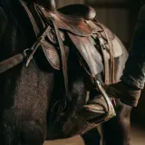 Saddle Creak as a Rider Mounts a Horse sound effect artwork