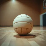 Volleyball Impact on Gym Floor sound effect artwork