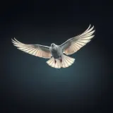 Dove Wings Taking Flight sound effect artwork