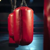 Boxing Speed Bag Rhythm sound effect artwork