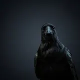 Single Ominous Crow Caw sound effect artwork