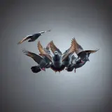 Pigeon Flock Takeoff Flaps sound effect artwork