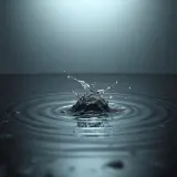Single Footstep in Shallow Water sound effect artwork
