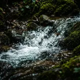 Short Gurgling Brook Stream sound effect artwork