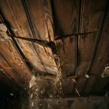 Heavy Creature Footsteps on Ceiling sound effect artwork