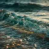 Gentle Tropical Lagoon Ocean Waves sound effect artwork