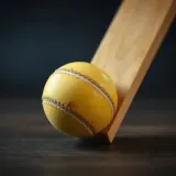 Cricket Bat Ball Knock sound effect artwork