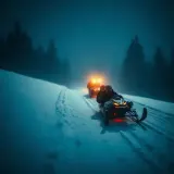 Sled Runners Hissing Downhill sound effect artwork