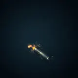 Outdoor Gunshot with Echo sound effect artwork