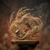 Desert Breeze with Insects Ambience sound effect artwork