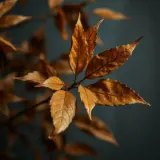 Dry Crunchy Leaves Rustling sound effect artwork