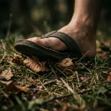 Flip Flop Step on Grass and Leaves sound effect artwork