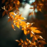 Autumn Wind Swirling Leaves sound effect artwork