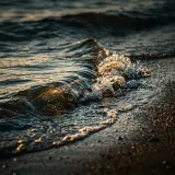 Gentle Waves Lapping on the Shore sound effect artwork