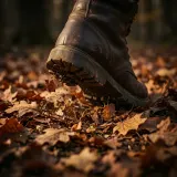Footsteps Crunching Dry Leaves sound effect artwork
