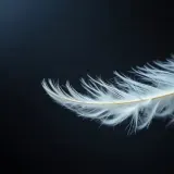 Soft Feather Air Whoosh sound effect artwork