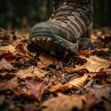 Single Footstep on Dry Leaves sound effect artwork