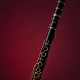 Warm Acoustic Clarinet Riff sound effect artwork