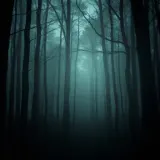 Distant Scream in Woods sound effect artwork